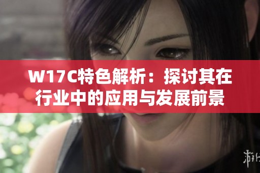 W17C特色解析：探讨其在行业中的应用与发展前景