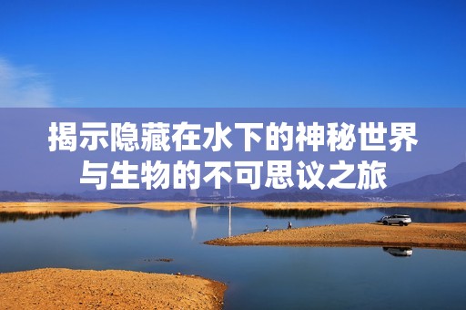 揭示隐藏在水下的神秘世界与生物的不可思议之旅