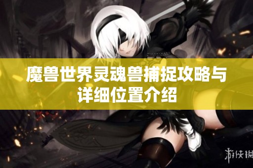 魔兽世界灵魂兽捕捉攻略与详细位置介绍