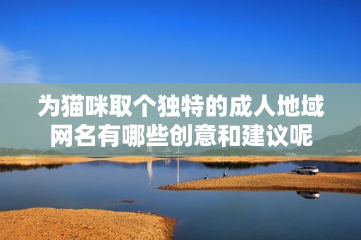为猫咪取个独特的成人地域网名有哪些创意和建议呢