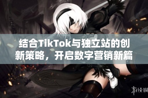 结合TikTok与独立站的创新策略，开启数字营销新篇章