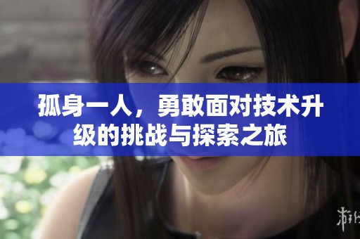 孤身一人，勇敢面对技术升级的挑战与探索之旅
