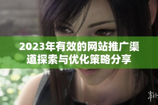 2023年有效的网站推广渠道探索与优化策略分享