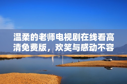 温柔的老师电视剧在线看高清免费版，欢笑与感动不容错过