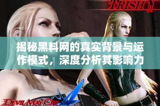 揭秘黑料网的真实背景与运作模式，深度分析其影响力与前景