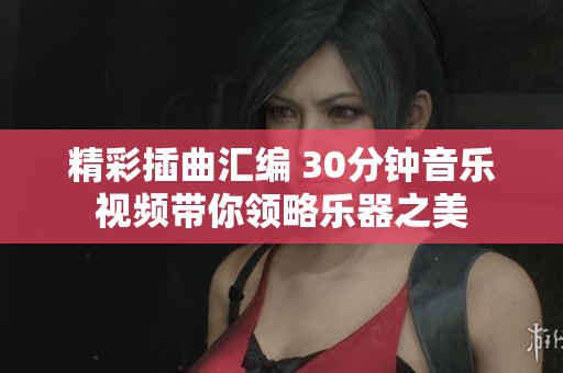 精彩插曲汇编 30分钟音乐视频带你领略乐器之美