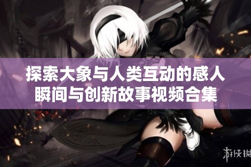 探索大象与人类互动的感人瞬间与创新故事视频合集