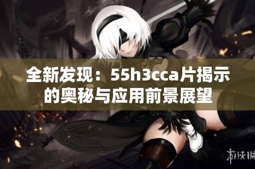 全新发现：55h3cca片揭示的奥秘与应用前景展望