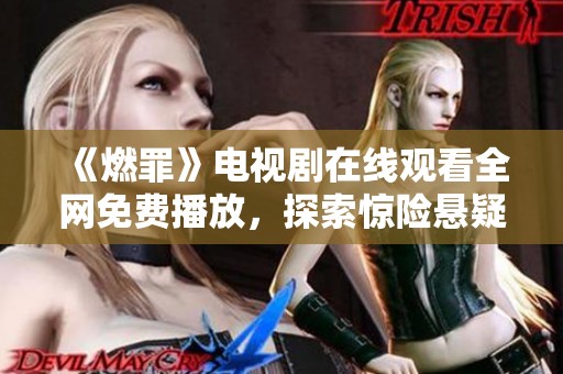 《燃罪》电视剧在线观看全网免费播放，探索惊险悬疑的新视角