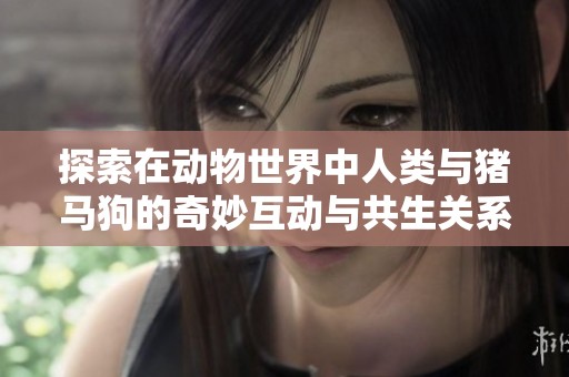 探索在动物世界中人类与猪马狗的奇妙互动与共生关系 第一集