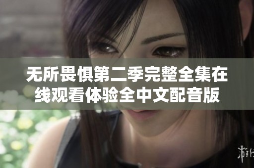 无所畏惧第二季完整全集在线观看体验全中文配音版