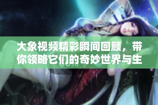 大象视频精彩瞬间回顾，带你领略它们的奇妙世界与生活魅力