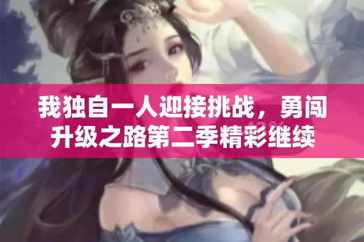我独自一人迎接挑战，勇闯升级之路第二季精彩继续