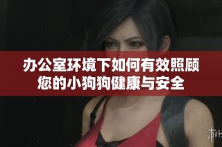 办公室环境下如何有效照顾您的小狗狗健康与安全