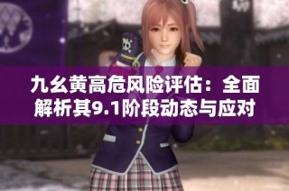 九幺黄高危风险评估：全面解析其9.1阶段动态与应对策略