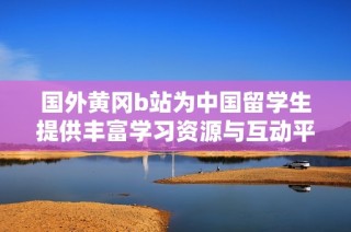 国外黄冈b站为中国留学生提供丰富学习资源与互动平台