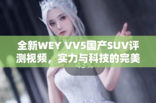 全新WEY VV5国产SUV评测视频，实力与科技的完美结合