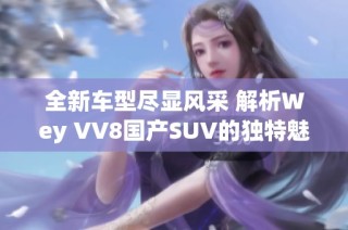 全新车型尽显风采 解析Wey VV8国产SUV的独特魅力