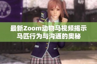 最新Zoom动物马视频揭示马匹行为与沟通的奥秘