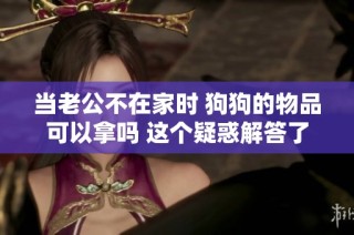 当老公不在家时 狗狗的物品可以拿吗 这个疑惑解答了