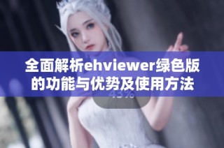 全面解析ehviewer绿色版的功能与优势及使用方法