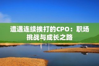 遭遇连续挨打的CPO：职场挑战与成长之路
