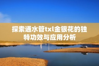 探索通水管txl金银花的独特功效与应用分析