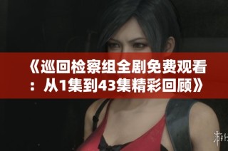 《巡回检察组全剧免费观看：从1集到43集精彩回顾》