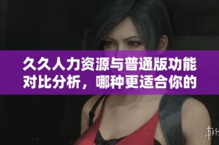 久久人力资源与普通版功能对比分析，哪种更适合你的需求