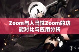 Zoom与人马性Zoom的功能对比与应用分析