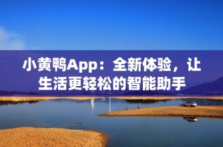 小黄鸭App：全新体验，让生活更轻松的智能助手