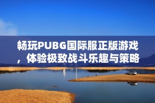 畅玩PUBG国际服正版游戏，体验极致战斗乐趣与策略挑战
