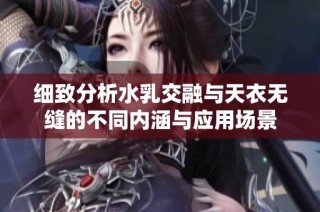 细致分析水乳交融与天衣无缝的不同内涵与应用场景