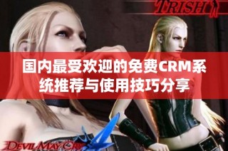 国内最受欢迎的免费CRM系统推荐与使用技巧分享