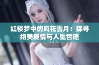 红楼梦中的风花雪月：探寻绝美爱情与人生哲理