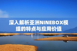 深入解析亚洲NINEBOX模组的特点与应用价值