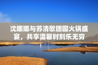 沈娜娜与苏清歌团圆火锅盛宴，共享温馨时刻乐无穷