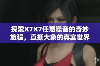 探索X7X7任意噪音的奇妙旅程，直抵大象的真实世界