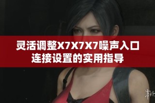 灵活调整X7X7X7噪声入口连接设置的实用指导