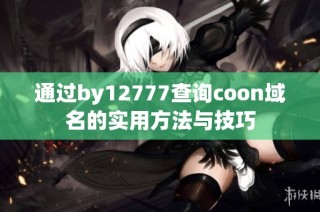通过by12777查询coon域名的实用方法与技巧