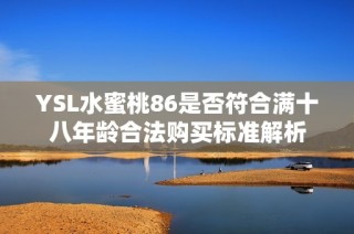 YSL水蜜桃86是否符合满十八年龄合法购买标准解析