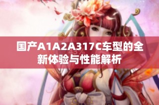 国产A1A2A317C车型的全新体验与性能解析