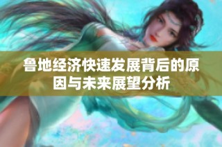 鲁地经济快速发展背后的原因与未来展望分析