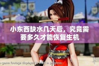 小东西缺水几天后，究竟需要多久才能恢复生机