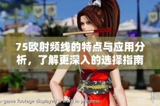 75欧射频线的特点与应用分析，了解更深入的选择指南
