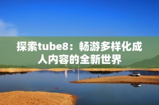 探索tube8：畅游多样化成人内容的全新世界