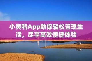 小黄鸭App助你轻松管理生活，尽享高效便捷体验