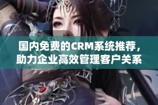 国内免费的CRM系统推荐，助力企业高效管理客户关系