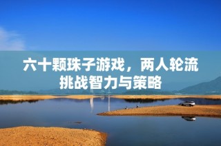 六十颗珠子游戏，两人轮流挑战智力与策略