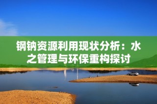 钢钠资源利用现状分析：水之管理与环保重构探讨